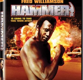 HAMMER [IMPORT] Online