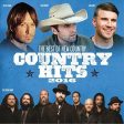 VARIOUS ARTISTS - COUNTRY HITS 2016 Supply