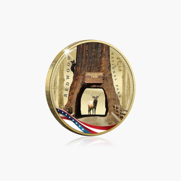 American Patriot Series - Landmarks and Wonders - Redwoods Online Sale