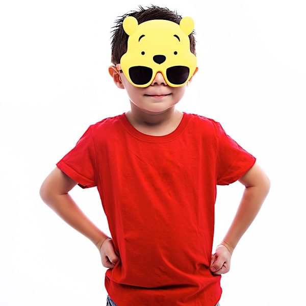 Winnie the Pooh Sun-Staches® For Discount